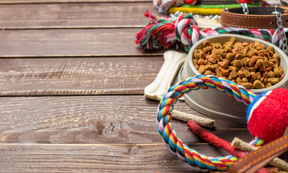 Magasin Rentable D'Aliments Pour Animaux À Port Elizabeth À Vendre 1 Magasin Rentable D'Aliments Pour Animaux À Port Elizabeth À Vendre 1