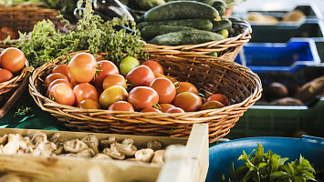 Vente Magasins de fruits et légumes for sale in Cape Town 248612