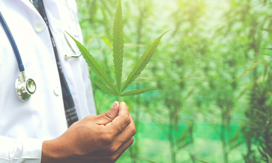 Installation De Culture De Cannabis Médical Conforme Aux Normes BPF À Vendre 1