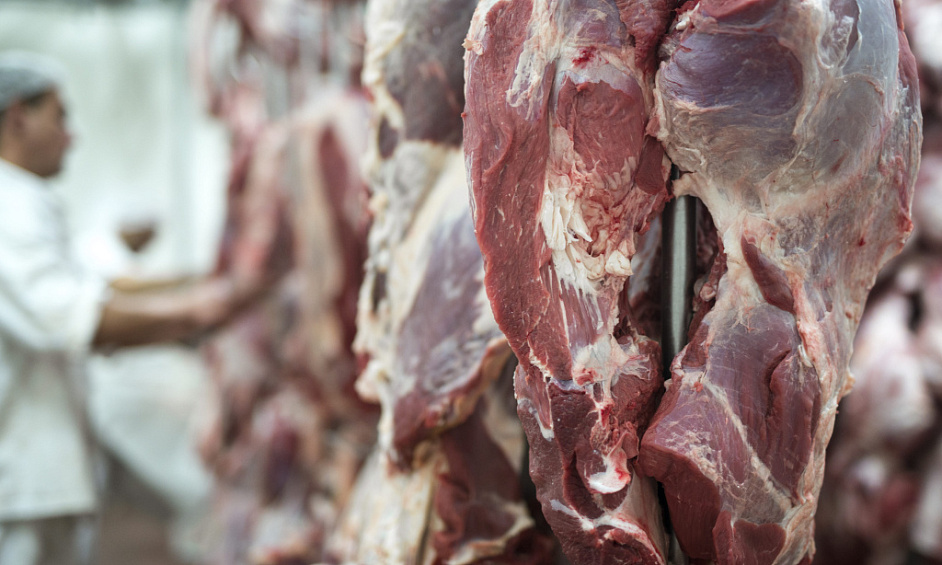 Boucherie De Gros Et Usine De Biltong À Johannesbourg À Vendre 1